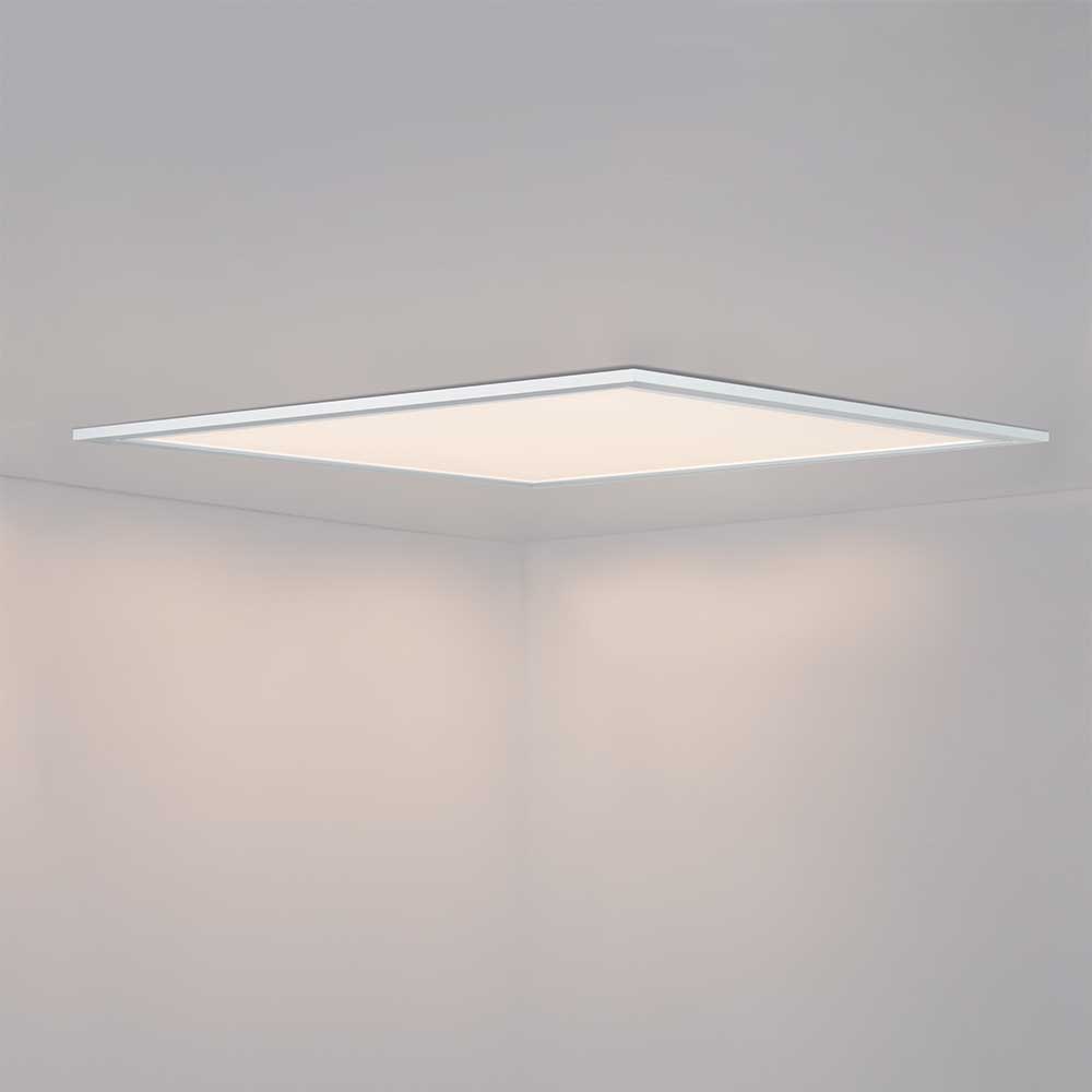 DL600x600-2.jpg