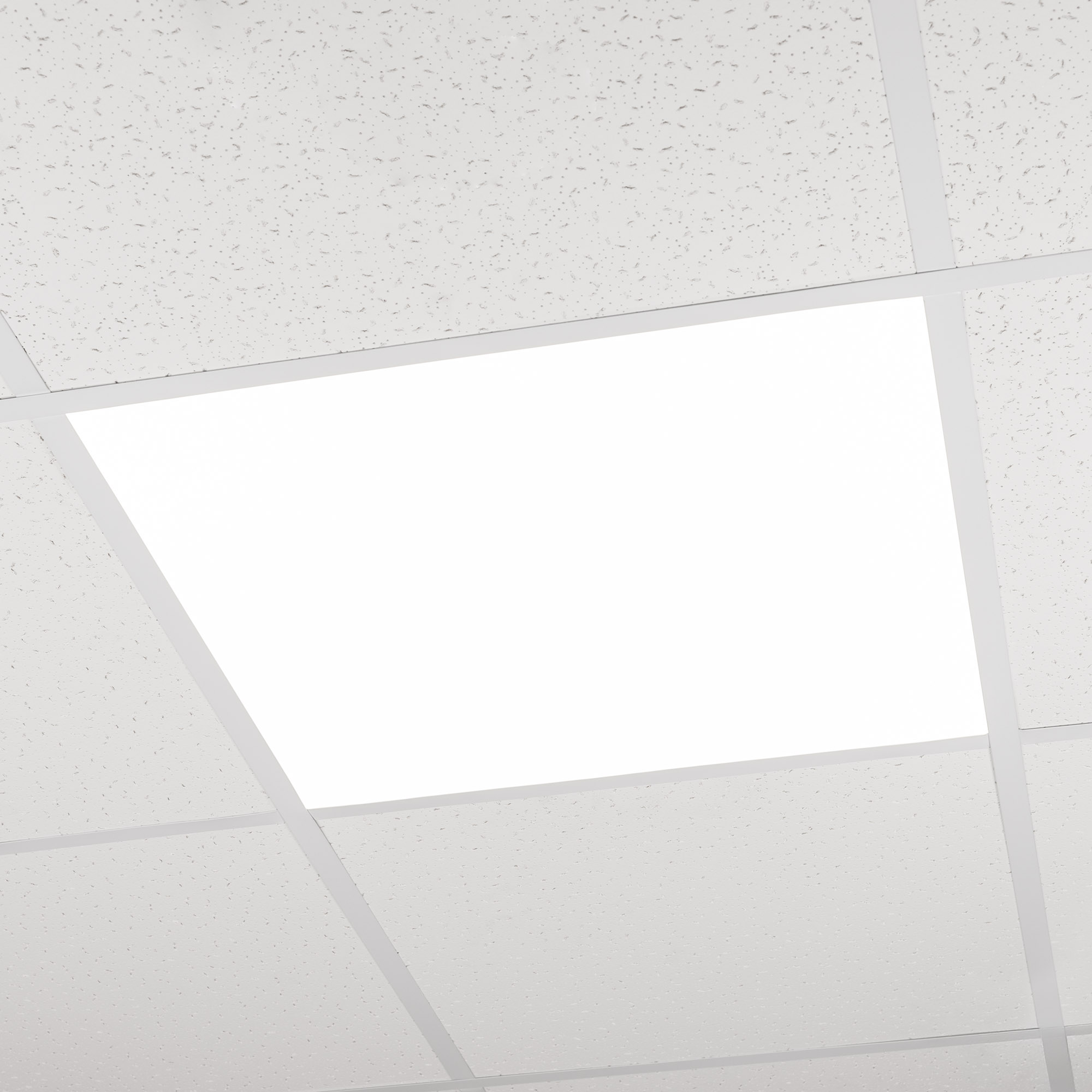 047923-10.jpg