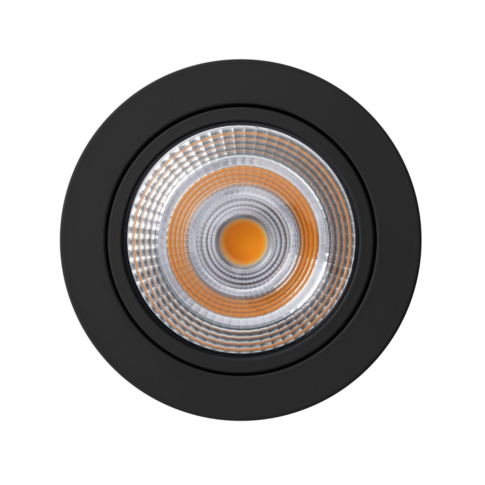 focus-30-bk-front.jpg
