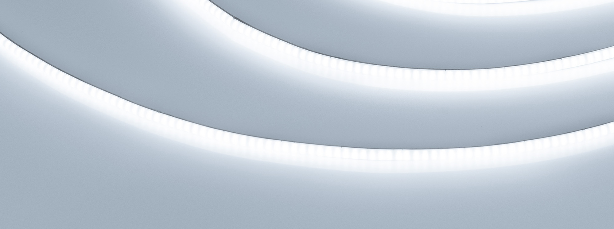 main_038803 6000.jpg