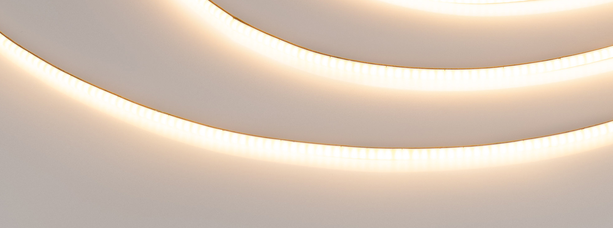 main_038801 2700.jpg