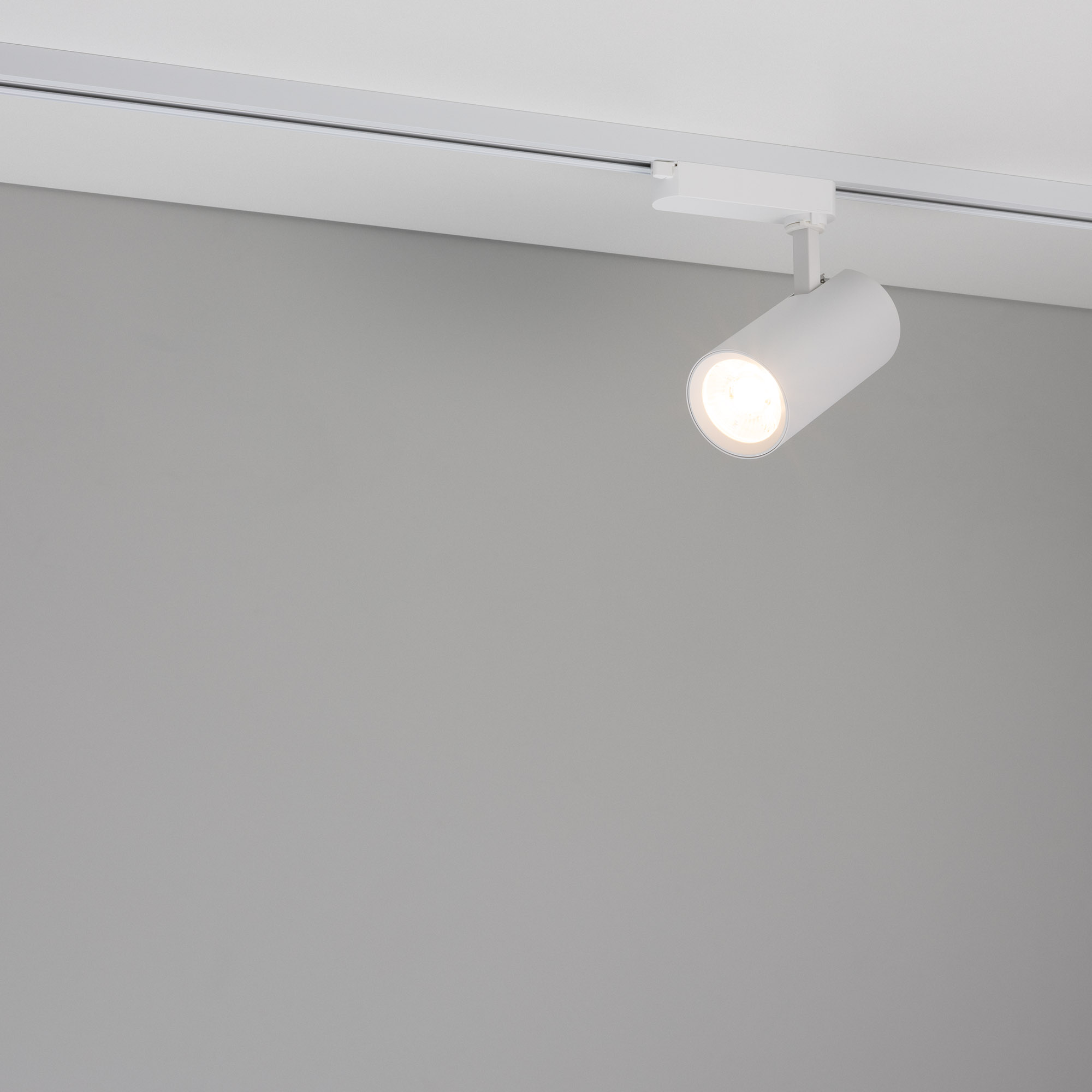 055081-11.jpg