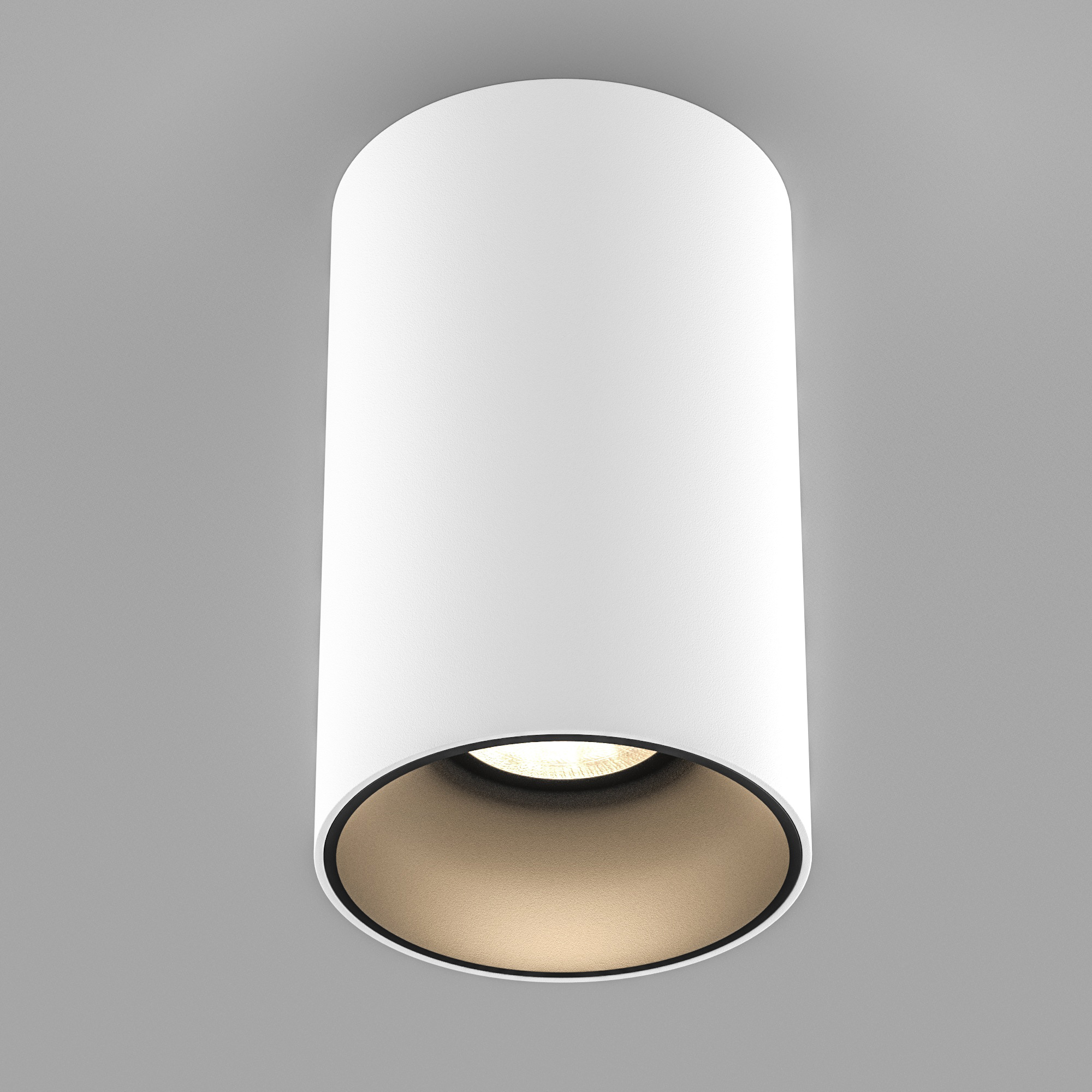 SP-SALT-R95-20W vray 2019 WH.jpg