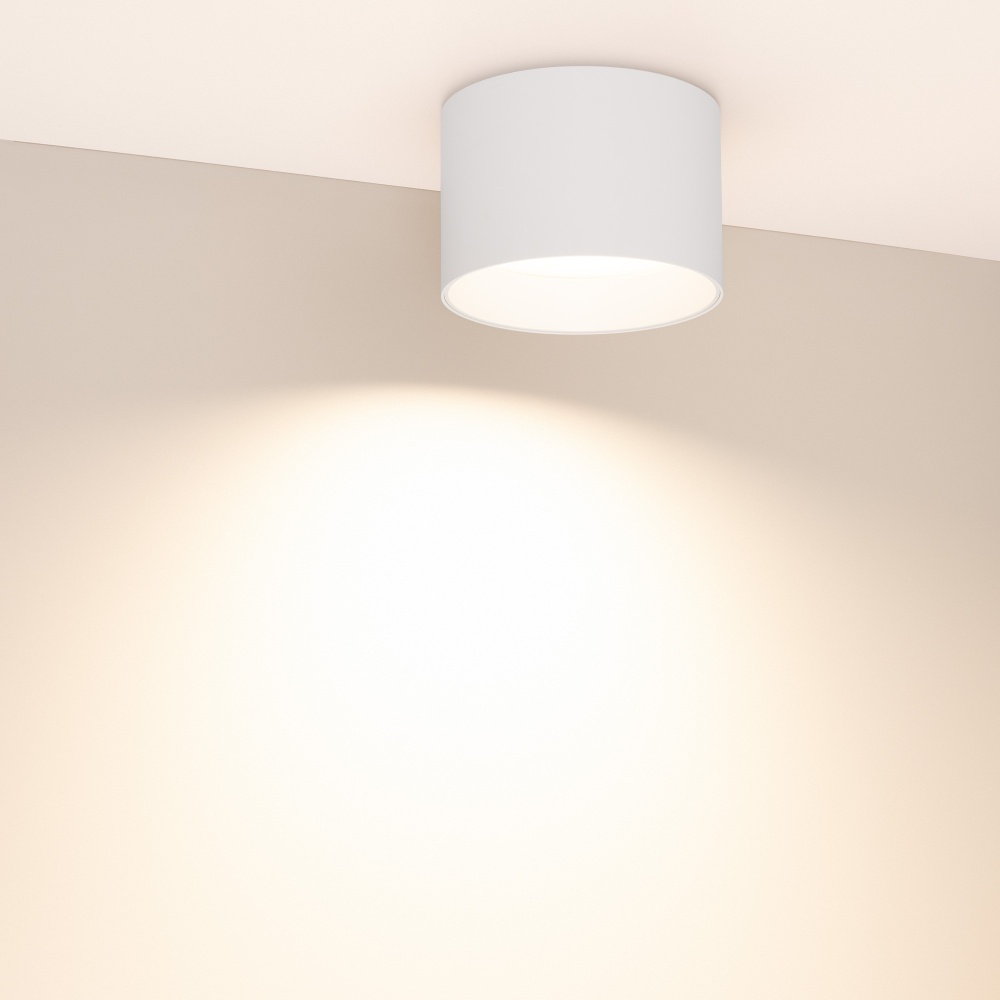 055010-11_054913 3300K.jpg