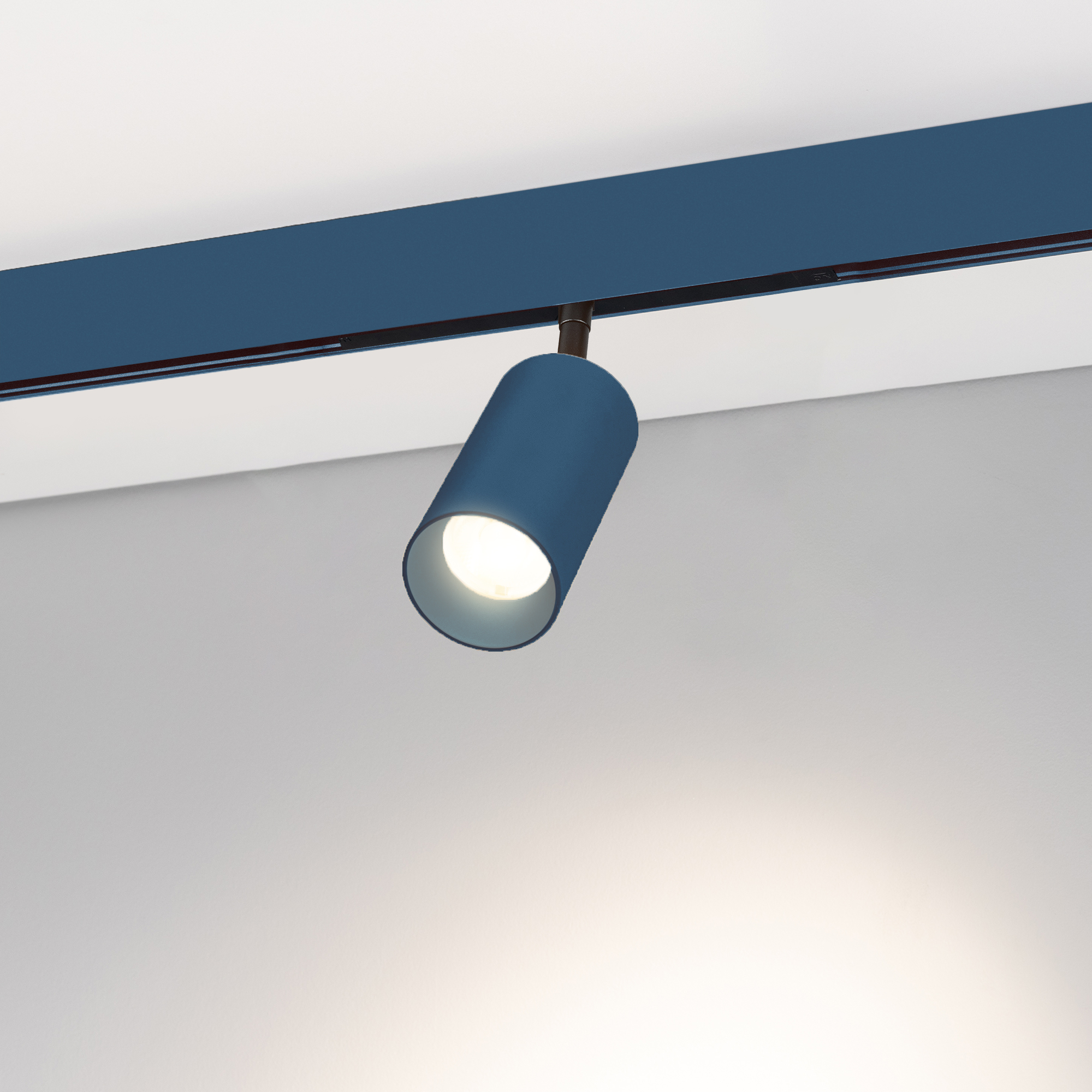 COLOR0-SPOT2000-5009.jpg