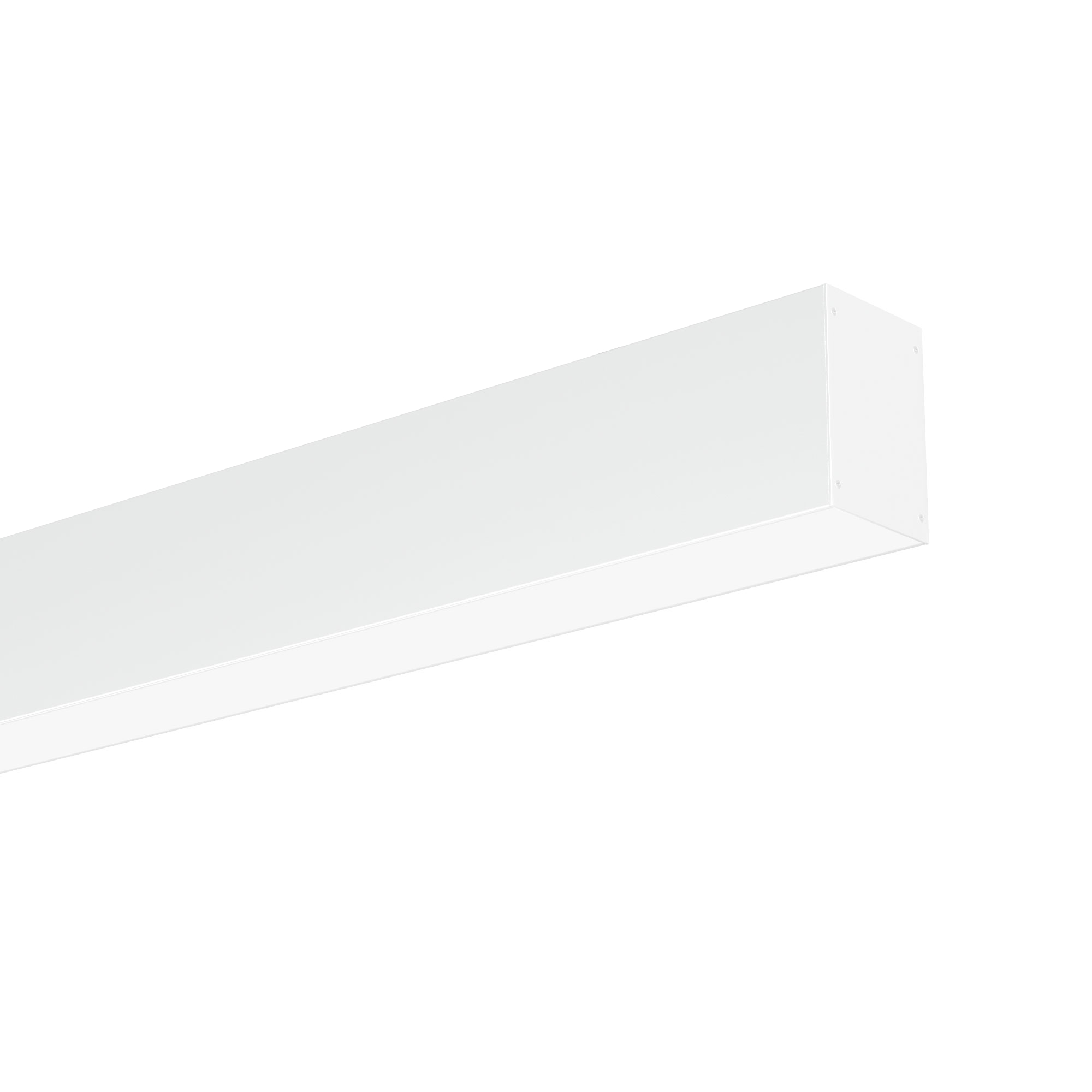 фото главное.jpg