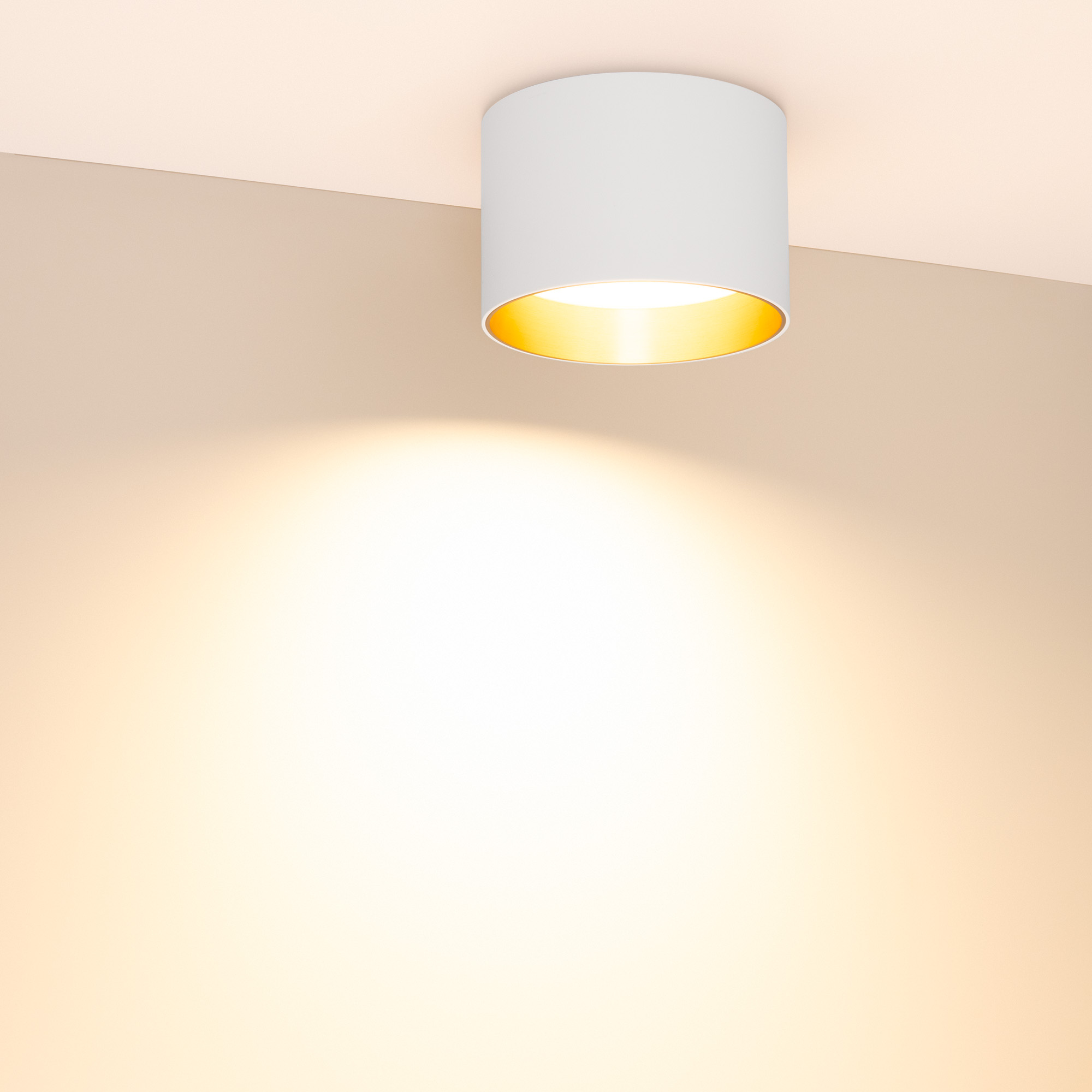 055010-11_054914 2700K.jpg