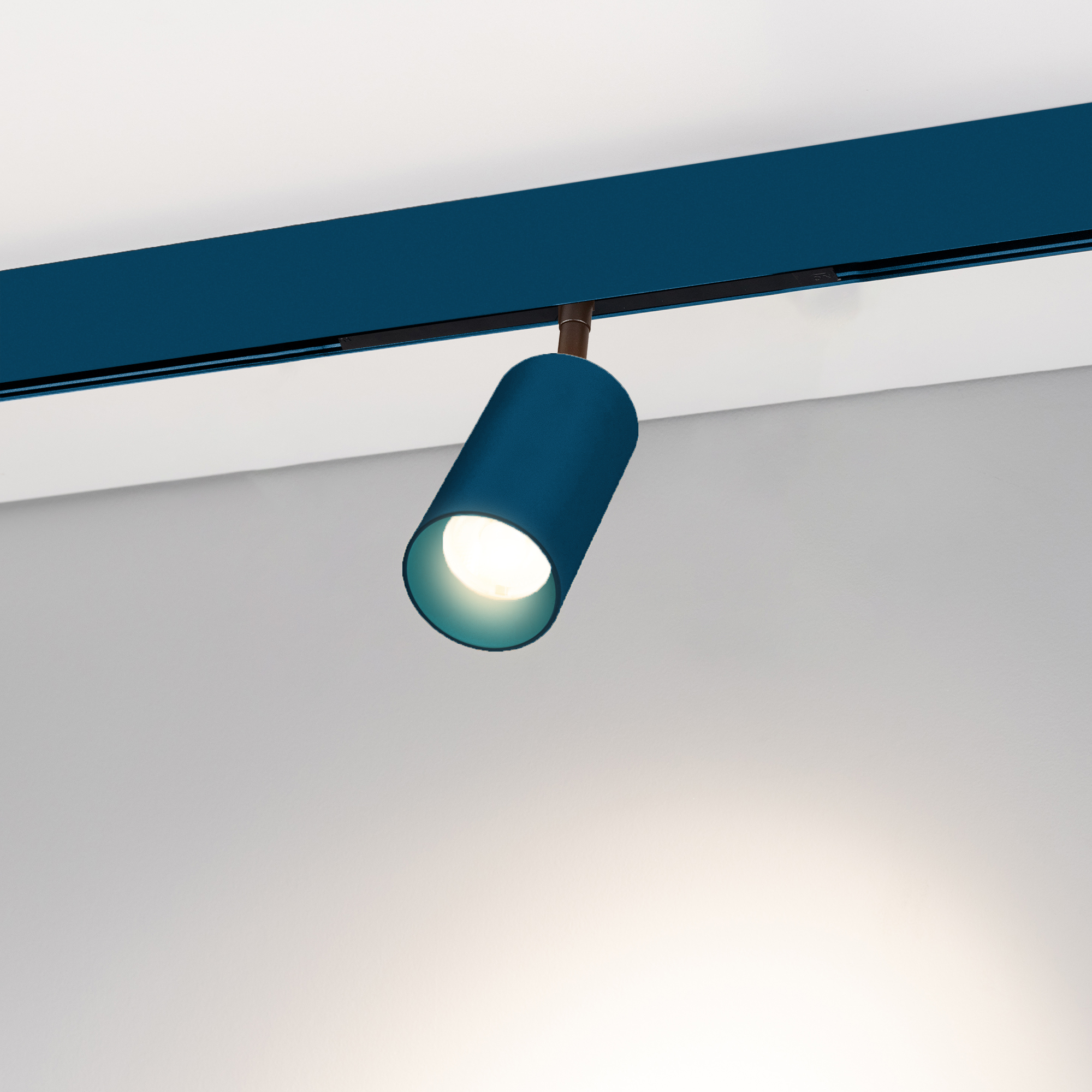 COLOR0-SPOT2000-5009.jpg