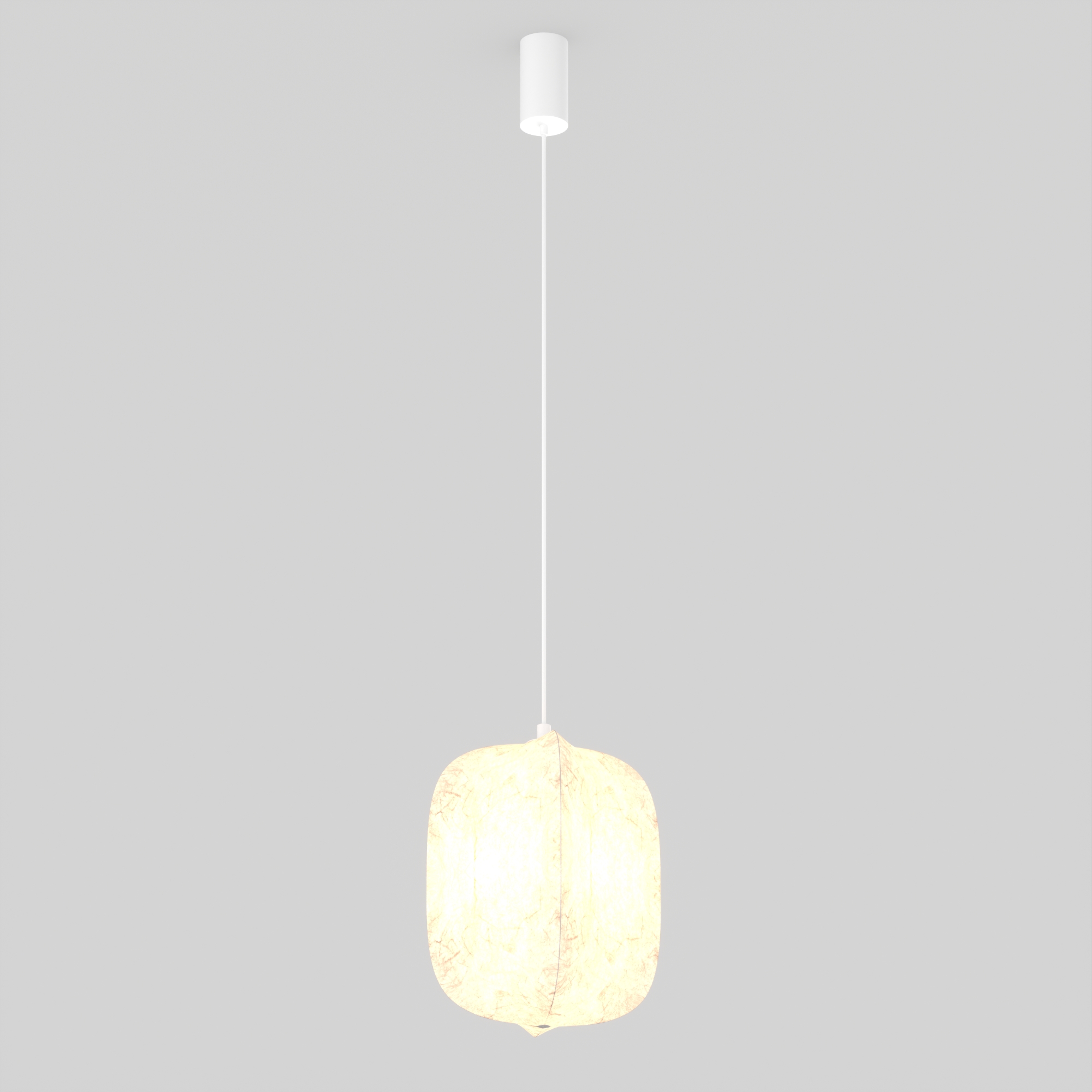 SP-SETA-HANG-L410х300-7W vray 2019 WH.jpg