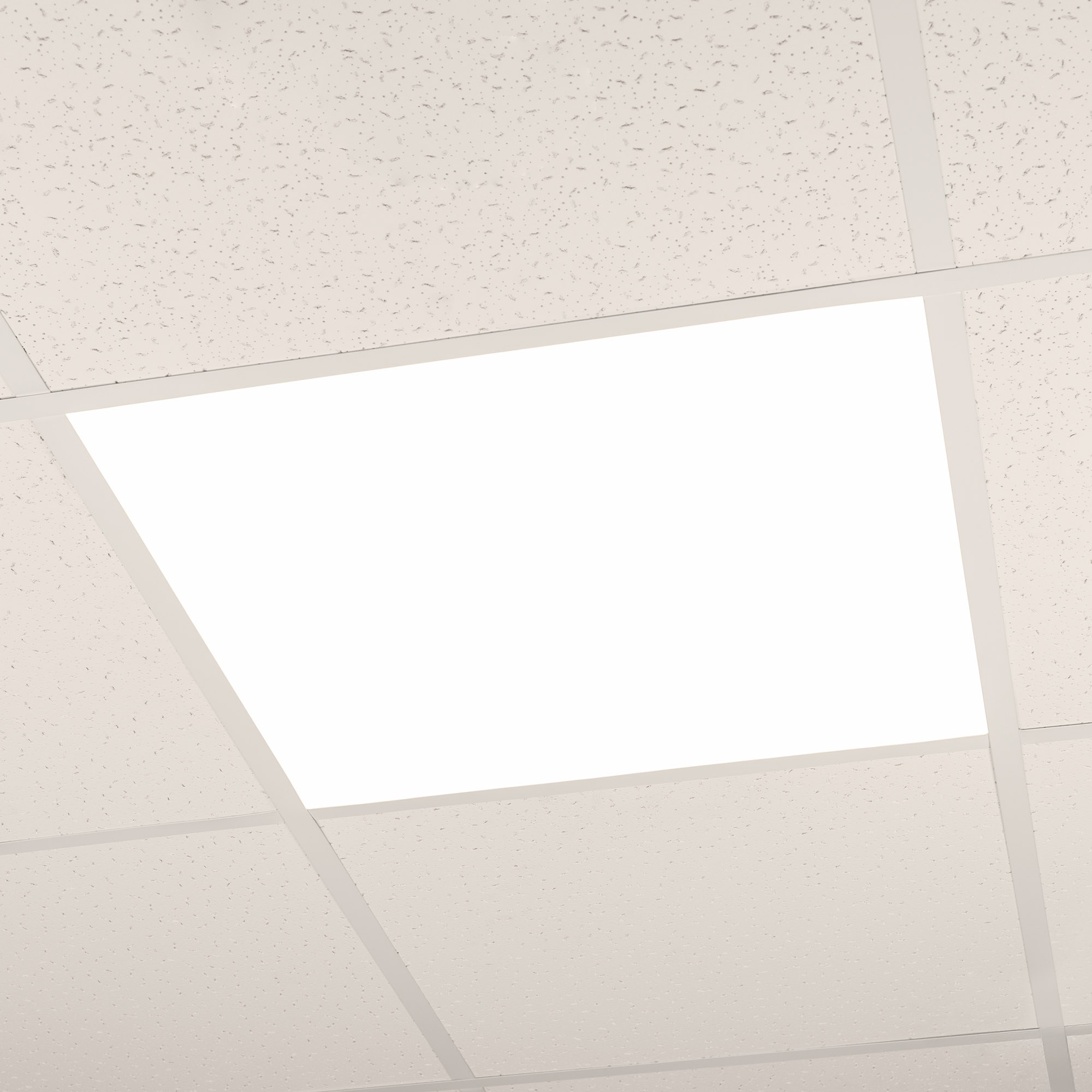 047923-10 3000.jpg