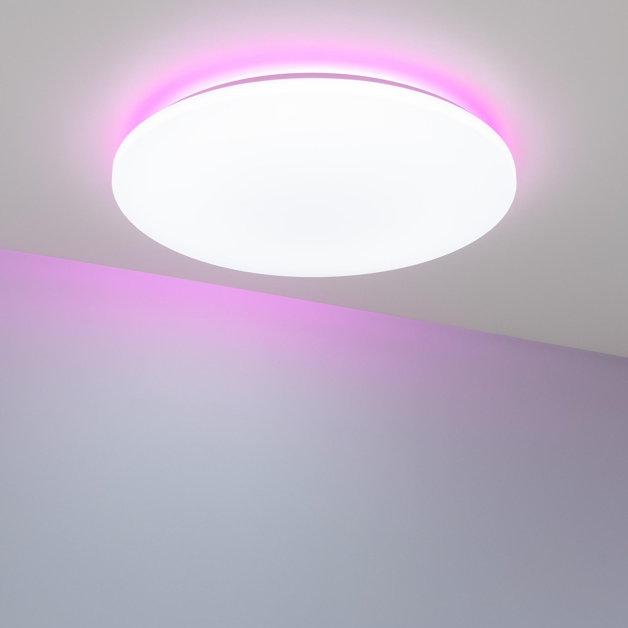 057444-11 Violet.jpg