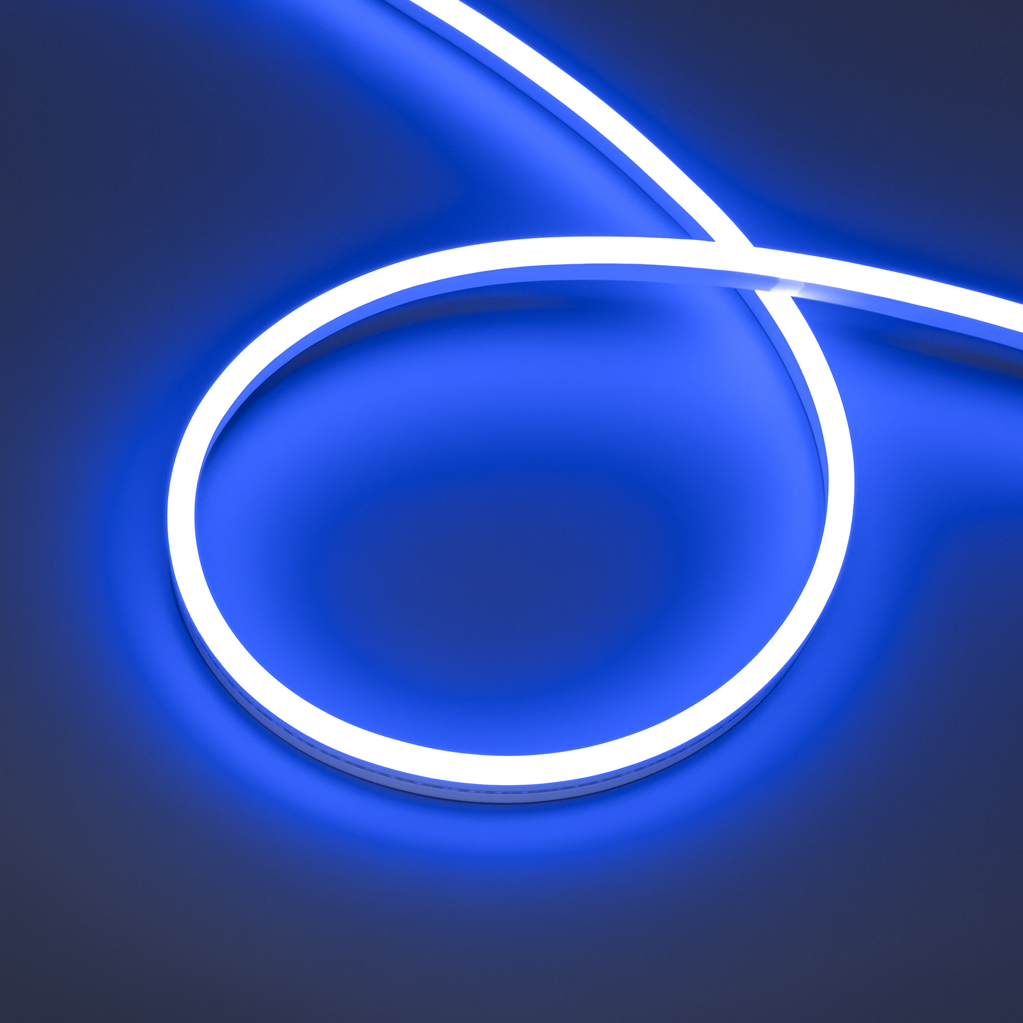 061562-14_061561.jpg
