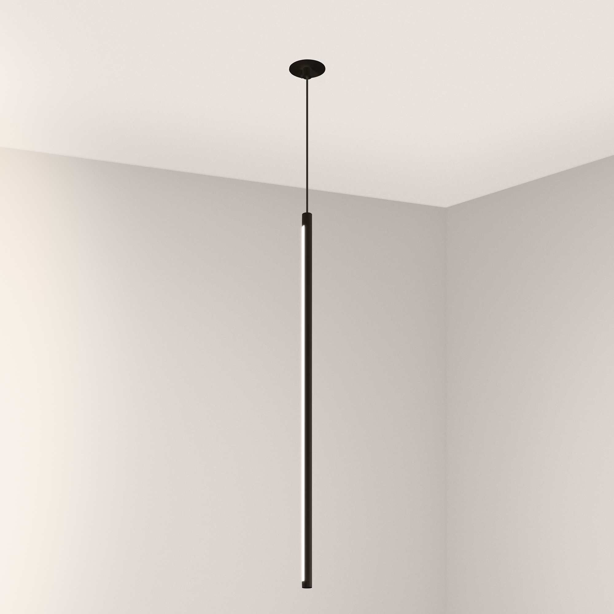036950-046020-2.jpg