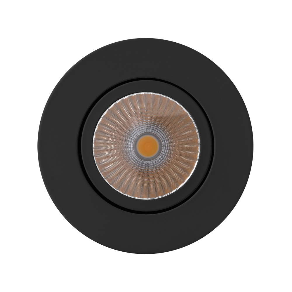 focus-9-bk-front.jpg