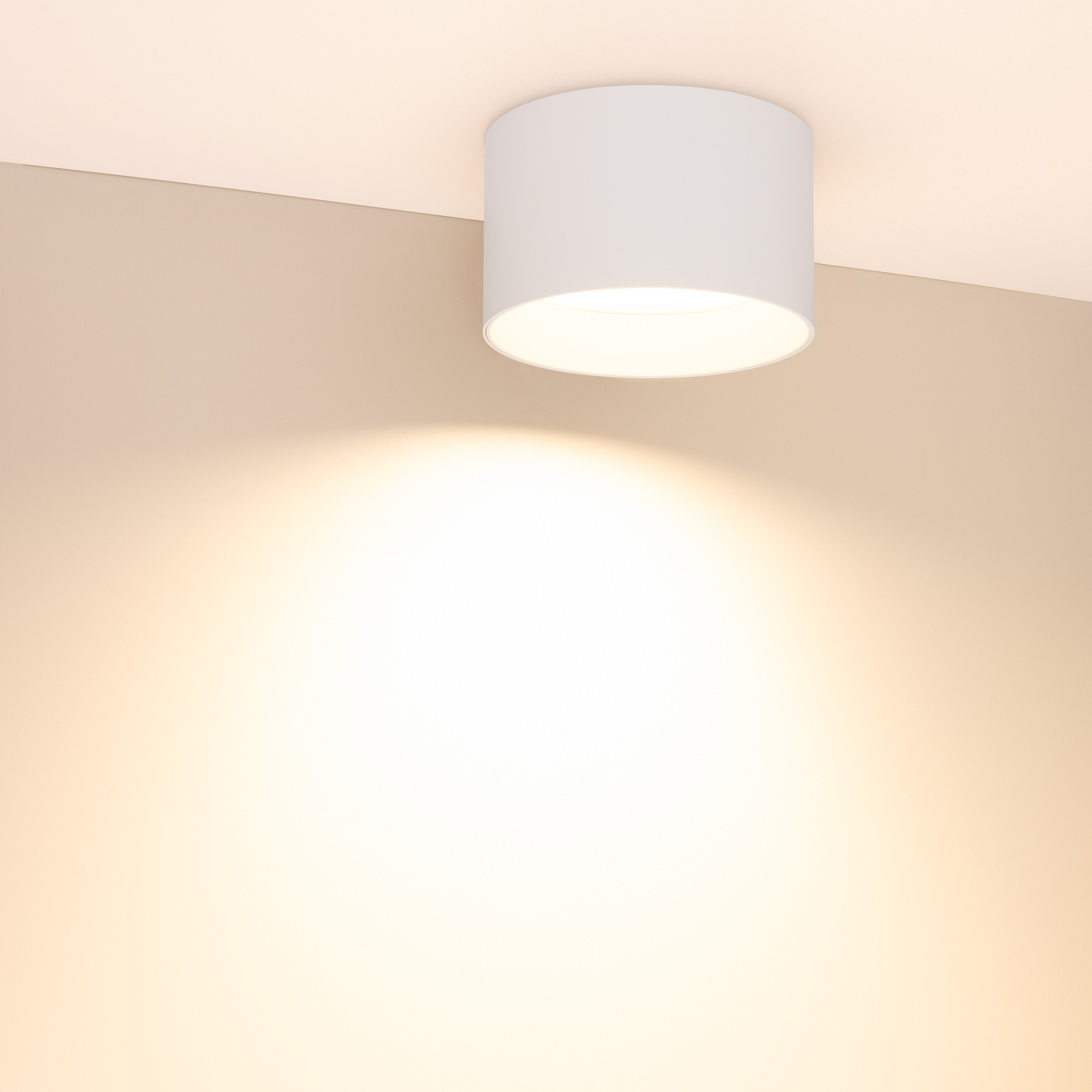 054916-11_054917 2700K.jpg
