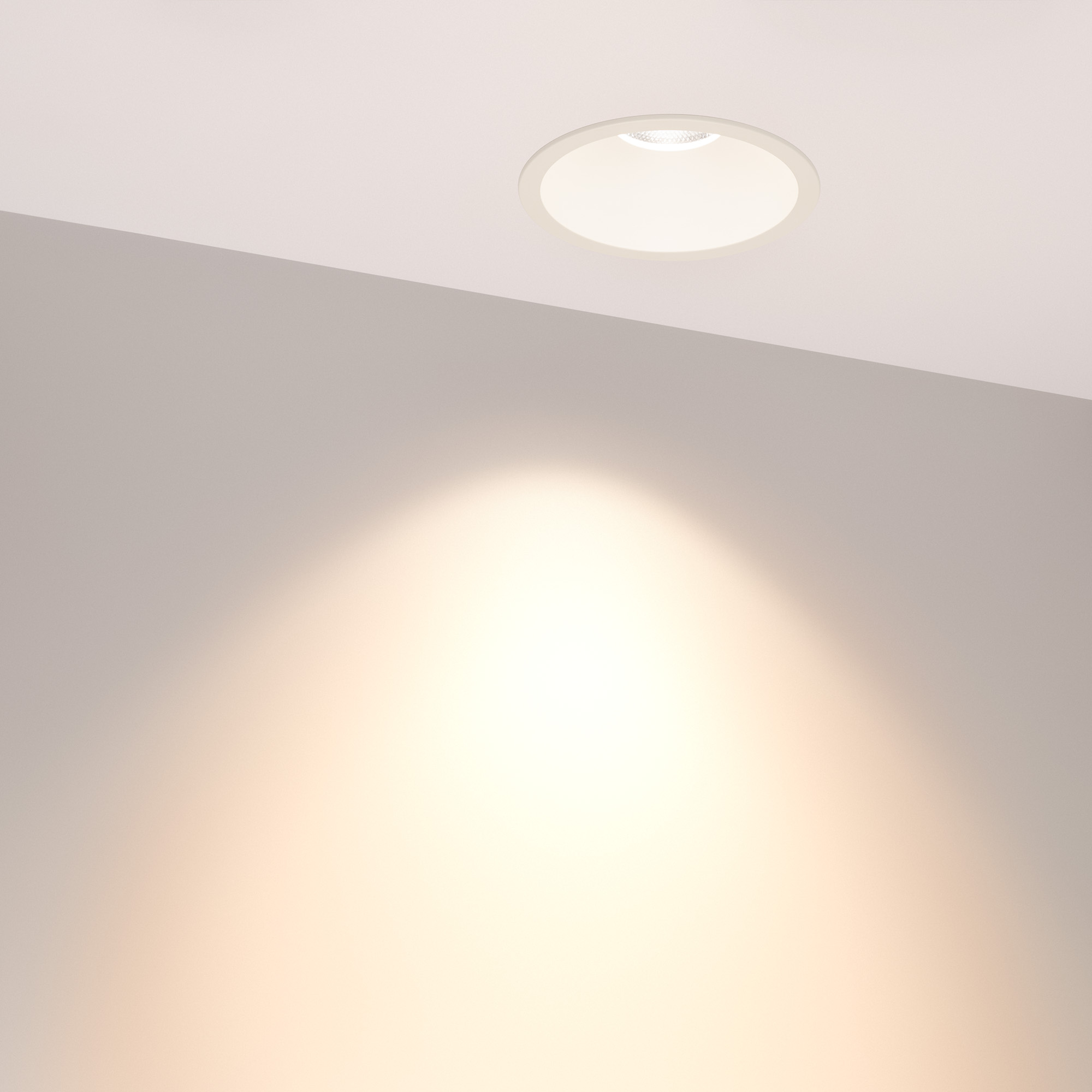 048288-10_048272.jpg