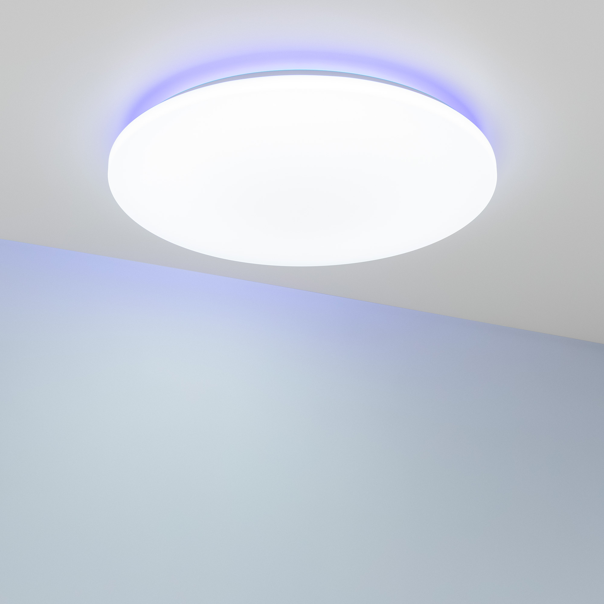 057444-11 Purple.jpg