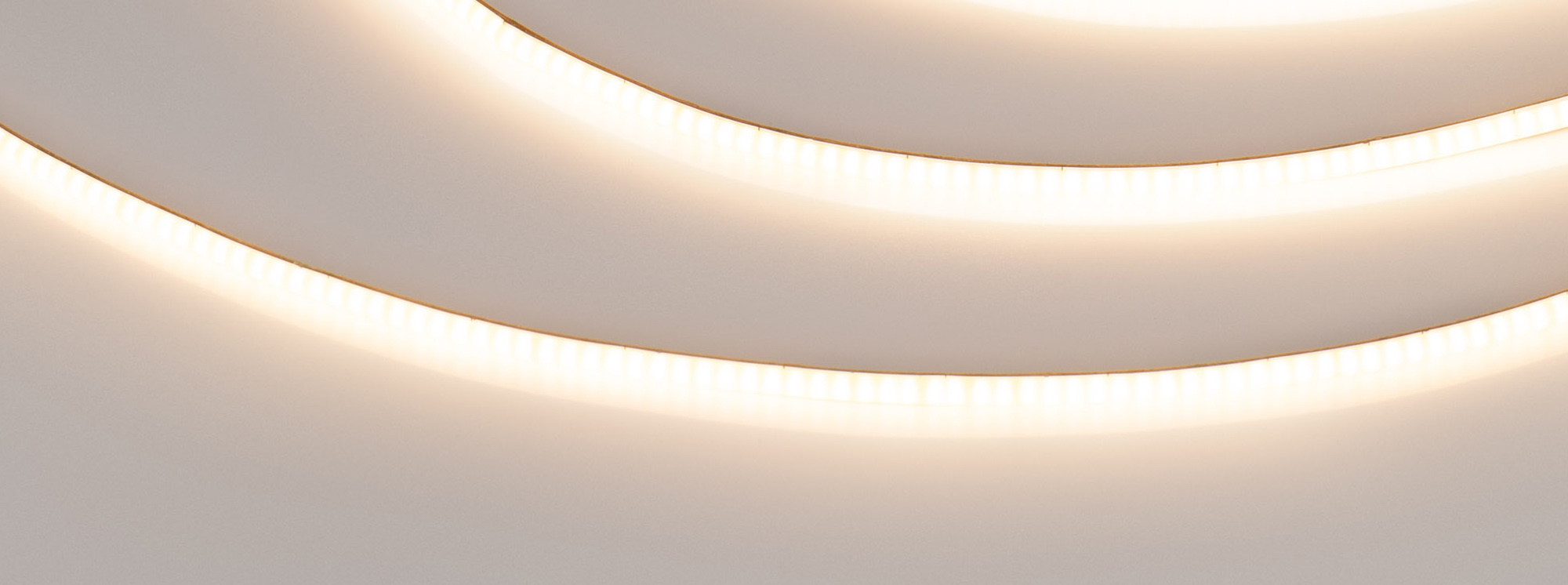 main_040901 3000.jpg