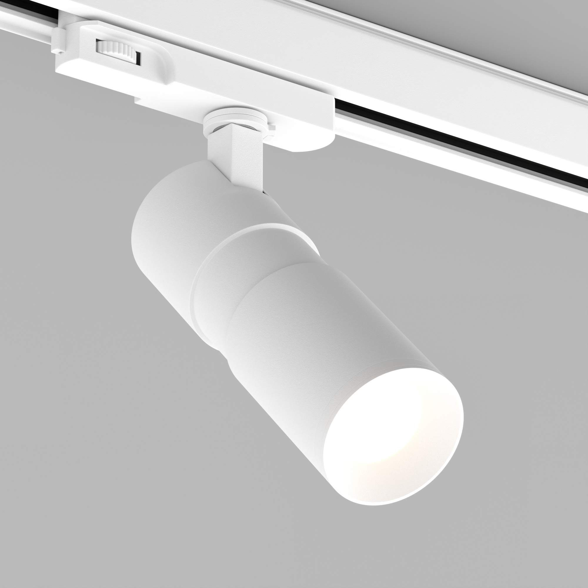 LGD-ARTEMIS-TRACK-4TR-R55-12W vray 2015 WH.jpg