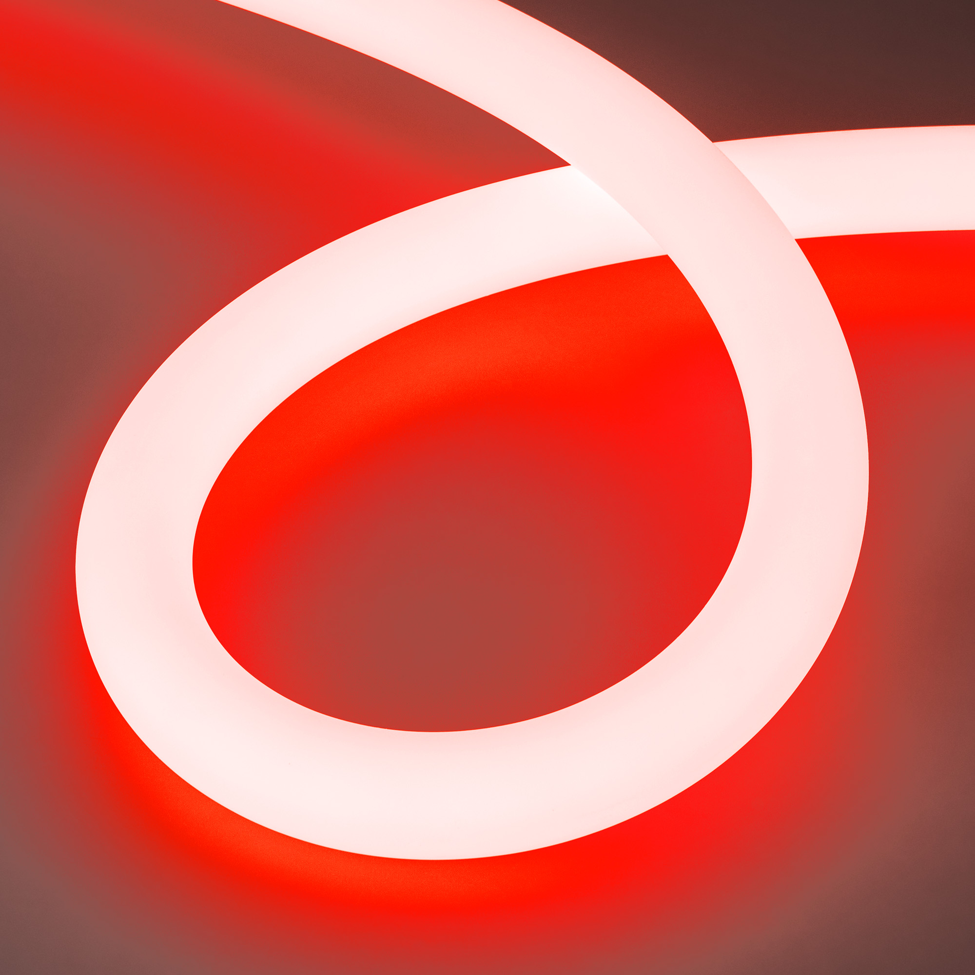 039320-4_048826 red.jpg