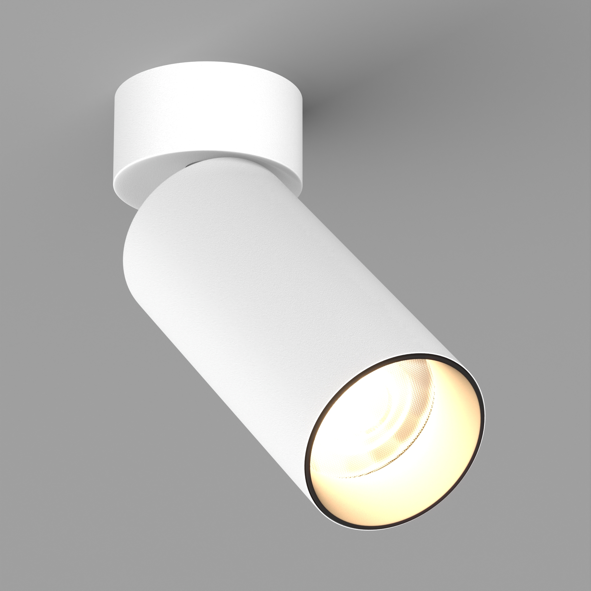 SP-GABI-SURFACE-FLAP-R60-12W vray 2015 WH.jpg