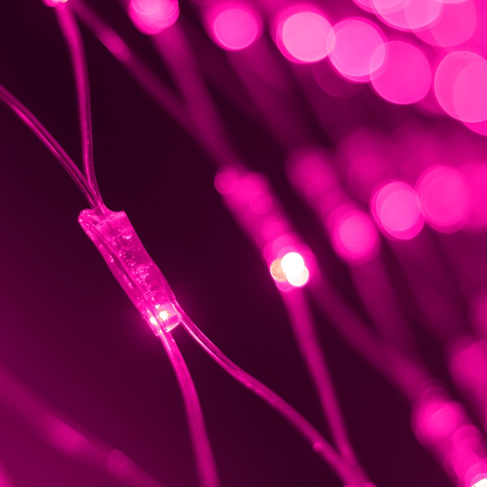 024679-27-pink.jpg