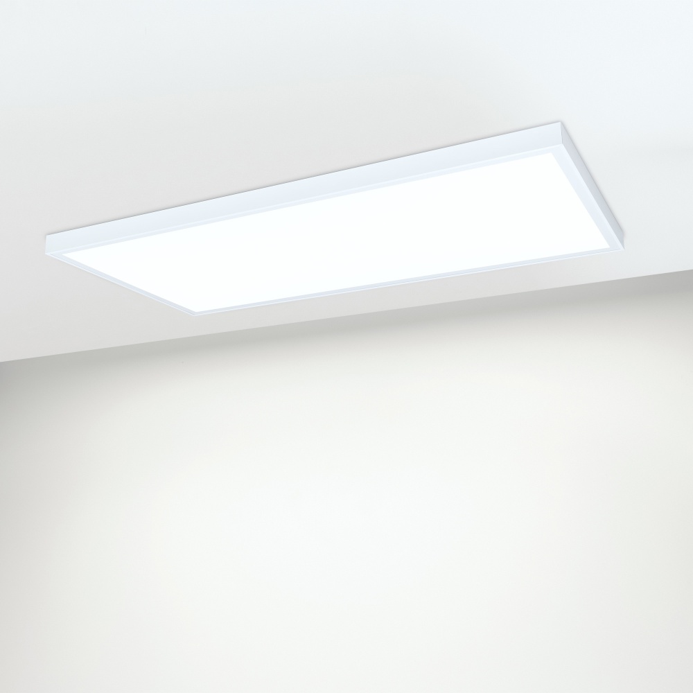 027831-036239-7_White.jpg