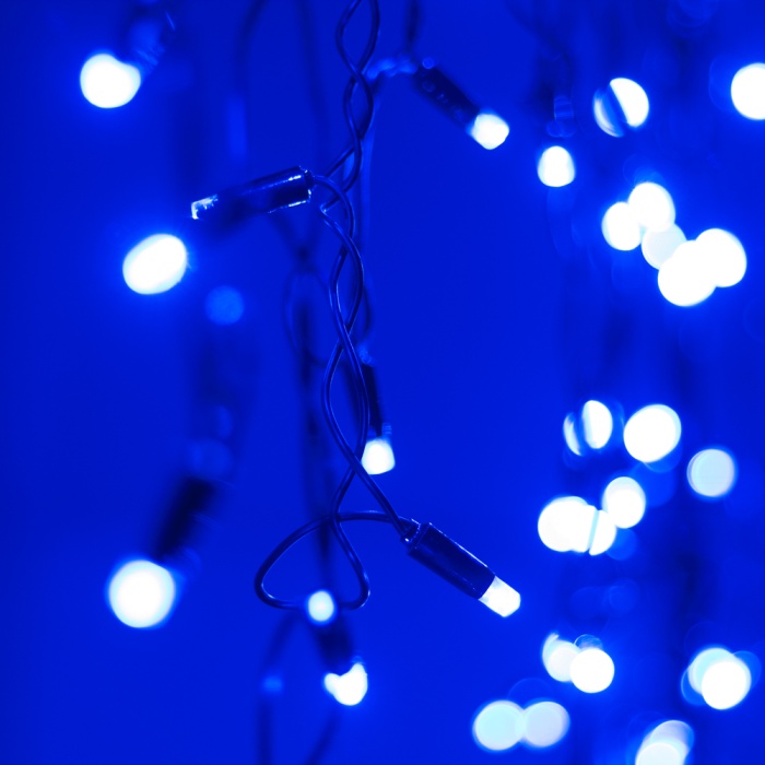 026009-10.jpg