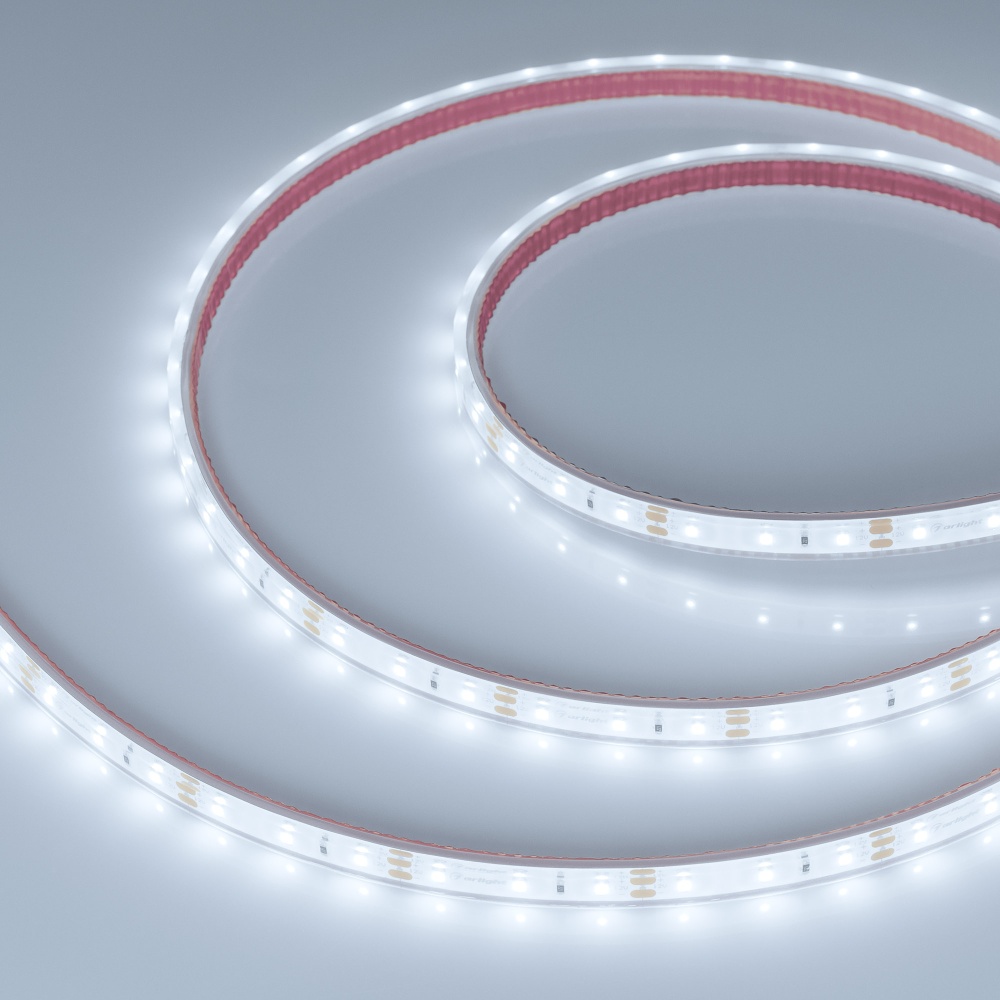 033783-11_034006 6000.jpg