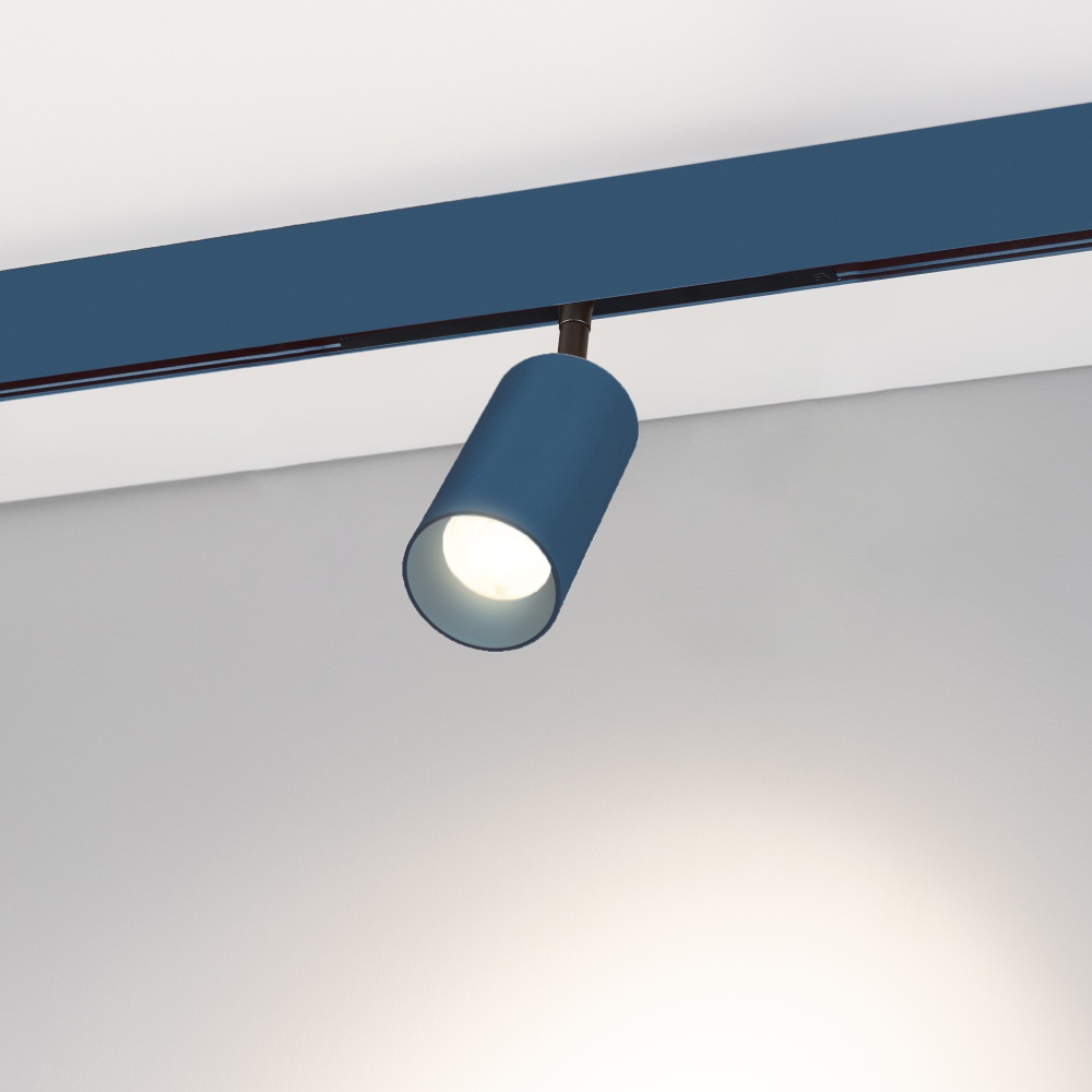 COLOR0-SPOT2000-5009.jpg