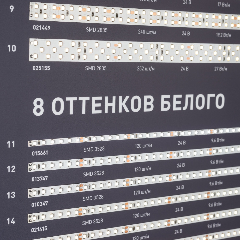 000905_1_-29.jpg