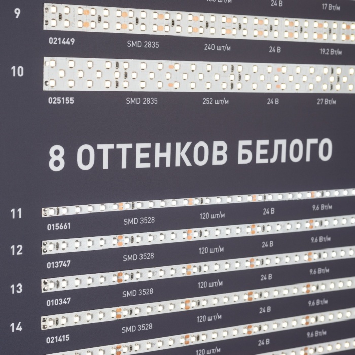 000905_1_-29.jpg