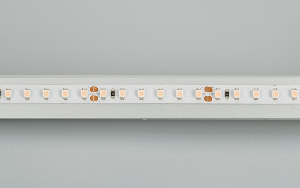 015899_line.jpg