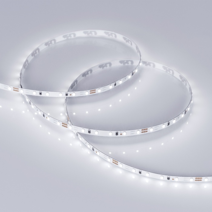 024415-19_White.jpg