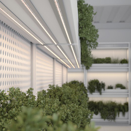 Специализированный свет  Специализированный свет